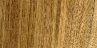 Oreh ameriški – Walnut